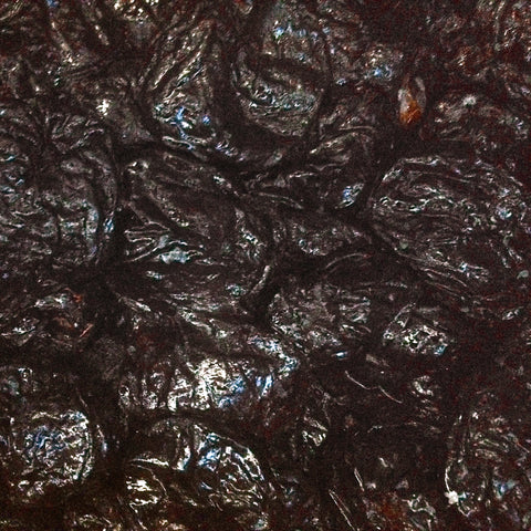 Prunes ~ Plums
